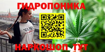прущая мука Беслан
