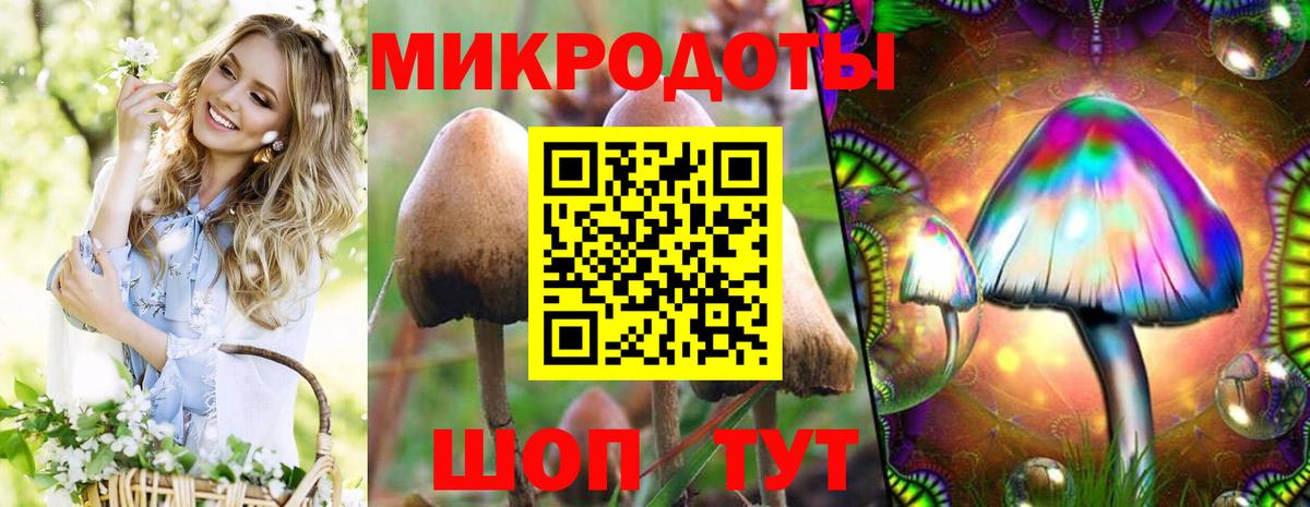 Кольчугино  Галлюциногенные грибы Psilocybe  наркошоп  Вход с VPN 