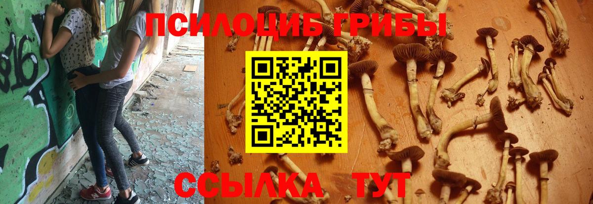 Галлюциногенные грибы мухоморы Кольчугино